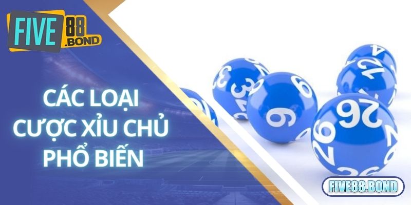 Đa dạng các hình thức cược phổ biến trong xỉu chủ là gì?