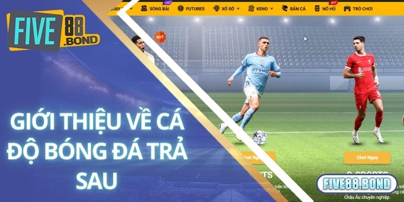 Giải thích về cá độ bóng đá trả sau